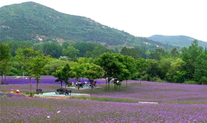 禾泉小鎮(zhèn)·米?；ㄊ澜? width=